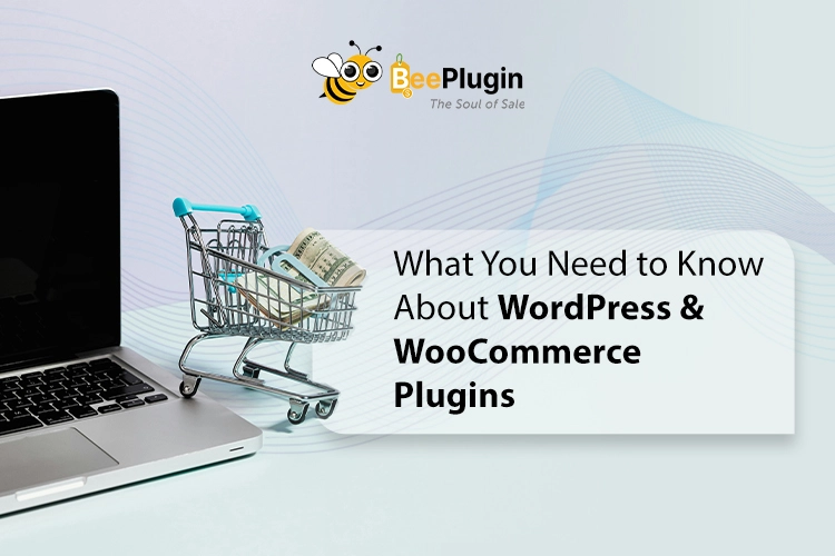 What You Need to Know About WordPress & WooCommerce Plugins